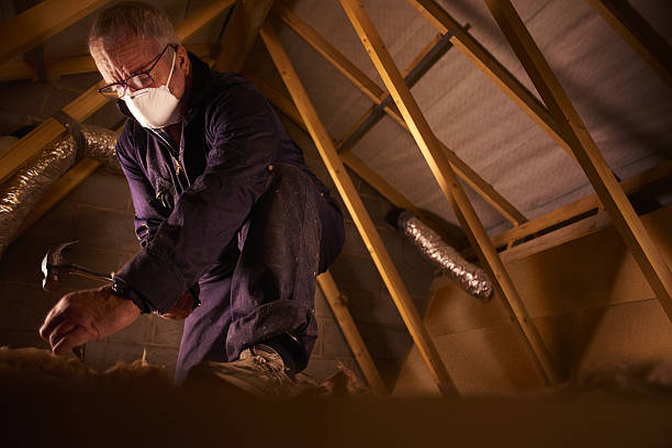 Trusted Jones Creek, TX Insulation Contractor Experts
